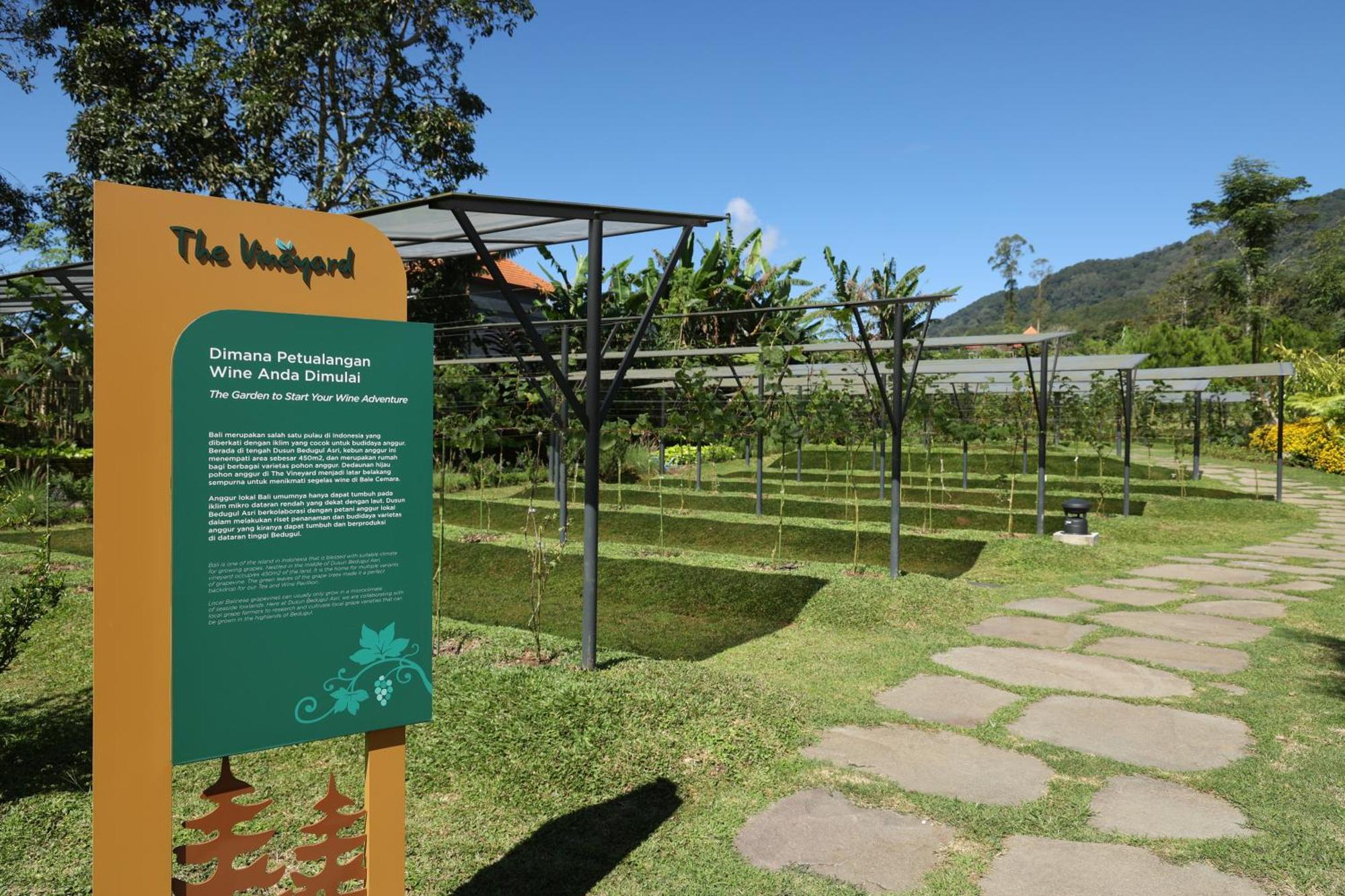 Dusun Bedugul Asri Hotel Exterior photo