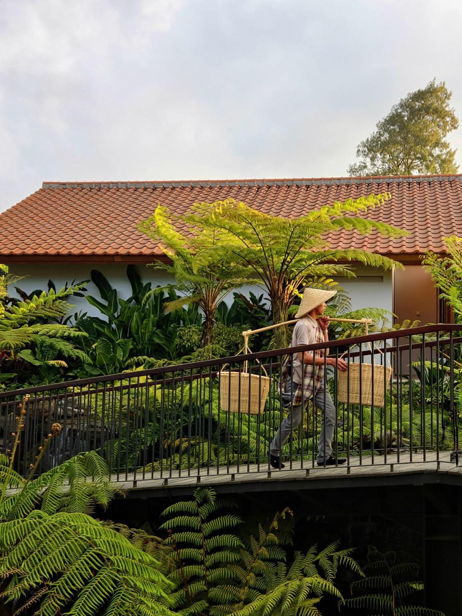 Dusun Bedugul Asri Hotel Exterior photo