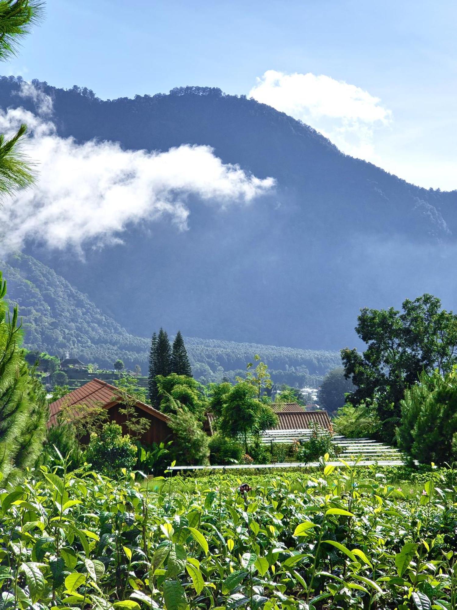 Dusun Bedugul Asri Hotel Exterior photo